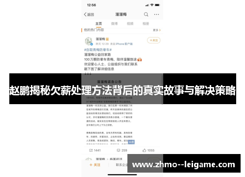 赵鹏揭秘欠薪处理方法背后的真实故事与解决策略 赵鹏揭秘欠薪处理方法背后的真实故事与解决策略