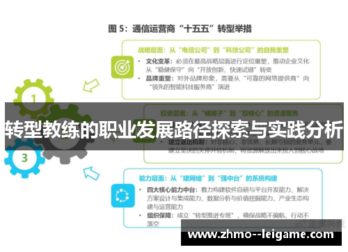 转型教练的职业发展路径探索与实践分析