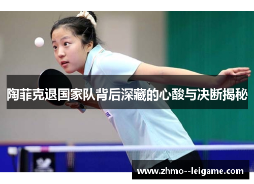 陶菲克退国家队背后深藏的心酸与决断揭秘