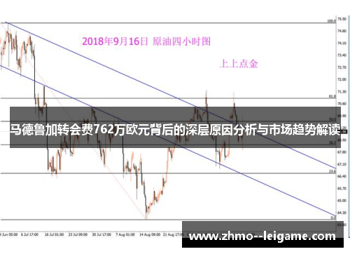 马德鲁加转会费762万欧元背后的深层原因分析与市场趋势解读
